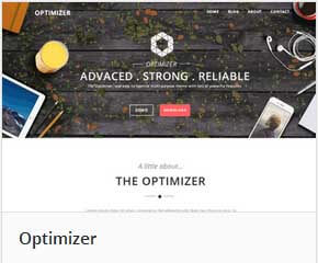 optimizer